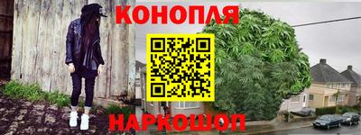 гашик Малгобек