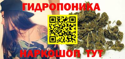 гашик Малгобек