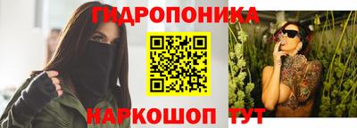 гашик Малгобек
