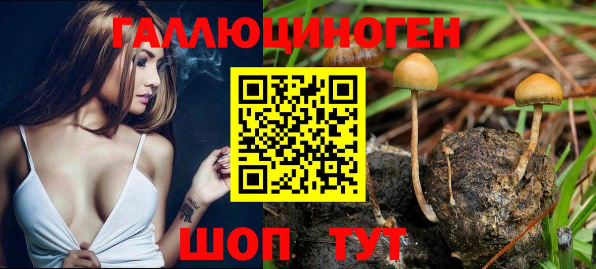 МАРИХУАНА  Вход с VPN  MDMA  Мефедрон кристаллы  Чайковский  Купить закладку  Гашиш 