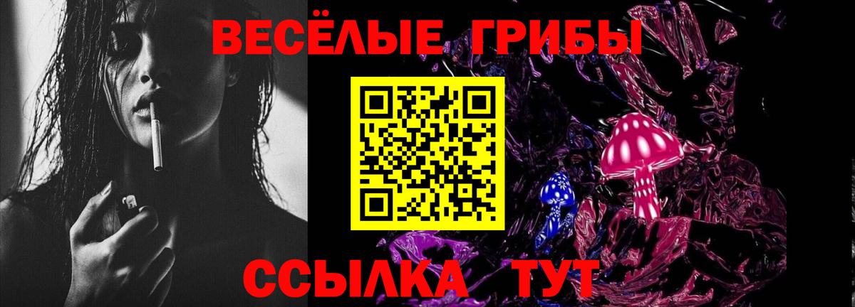 Псилоцибиновые грибы мицелий Чайковский